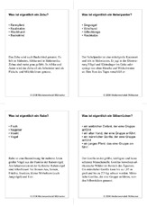 Quiz-Karten-Tiernamen 76.pdf